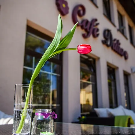 Eco Friendly Dália Hotel