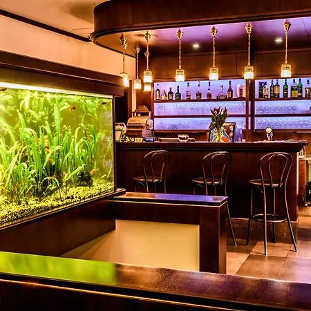 Eco Friendly Dália 4* Košice