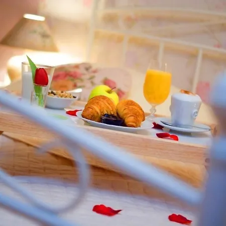 Eco Friendly Dalia Kosice