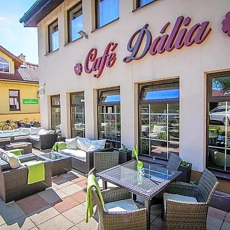 Eco Friendly Dalia Hotel