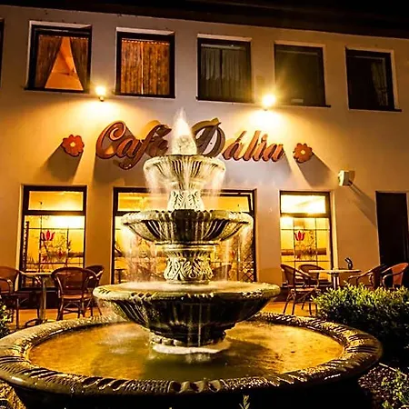 Eco Friendly Dalia Kosice
