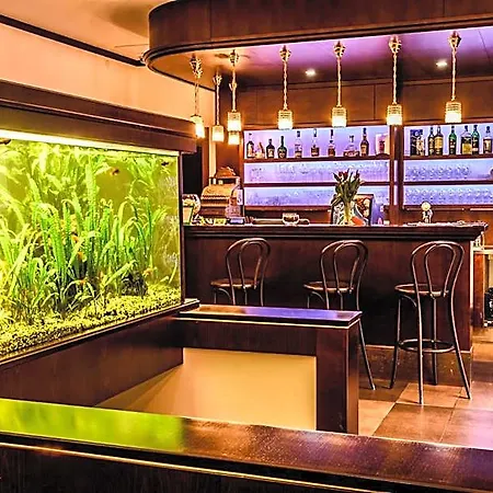Eco Friendly Dalia Hotel Kosice