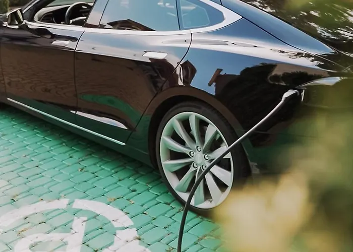 Otel Eco Friendly Dalia 4*