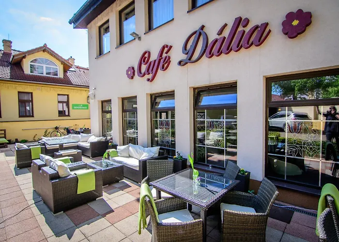 Eco Friendly Dalia Kösice