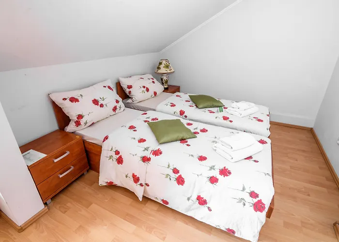 Eco Friendly Dália Hotel 4*