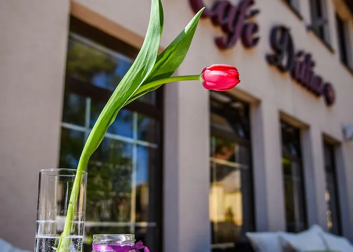 Eco Friendly Dália Hotel