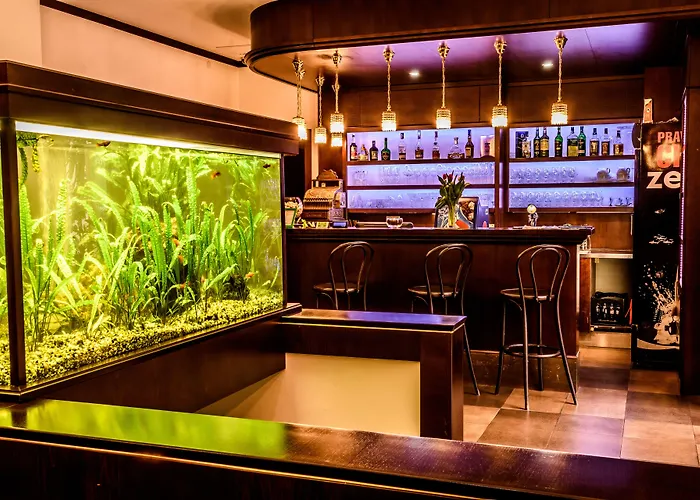 Eco Friendly Dália 4* Košice