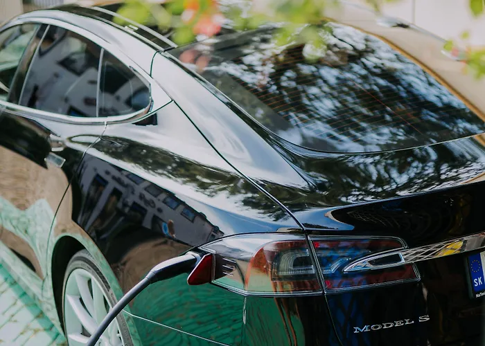 Eco Friendly Dalia Otel 4*