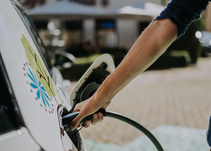 Eco Friendly Dalia Otel 4*