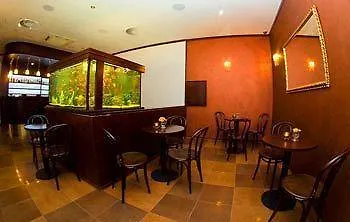 Eco Friendly Dalia Kösice